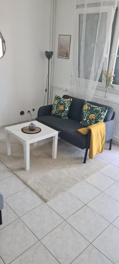סאן לואיס Studio Kulla Avec Terasse 5Mn Basel Airport מראה חיצוני תמונה