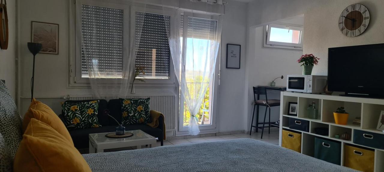 סאן לואיס Studio Kulla Avec Terasse 5Mn Basel Airport מראה חיצוני תמונה