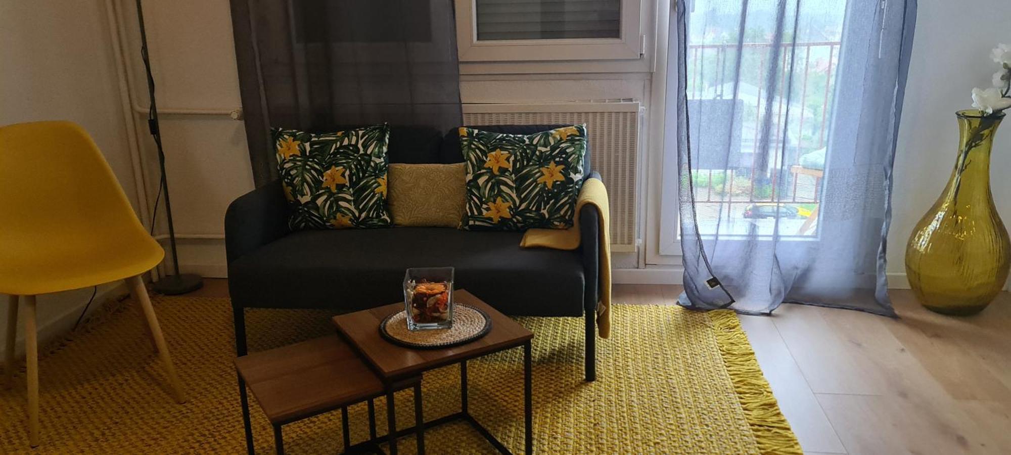 סאן לואיס Studio Kulla Avec Terasse 5Mn Basel Airport מראה חיצוני תמונה