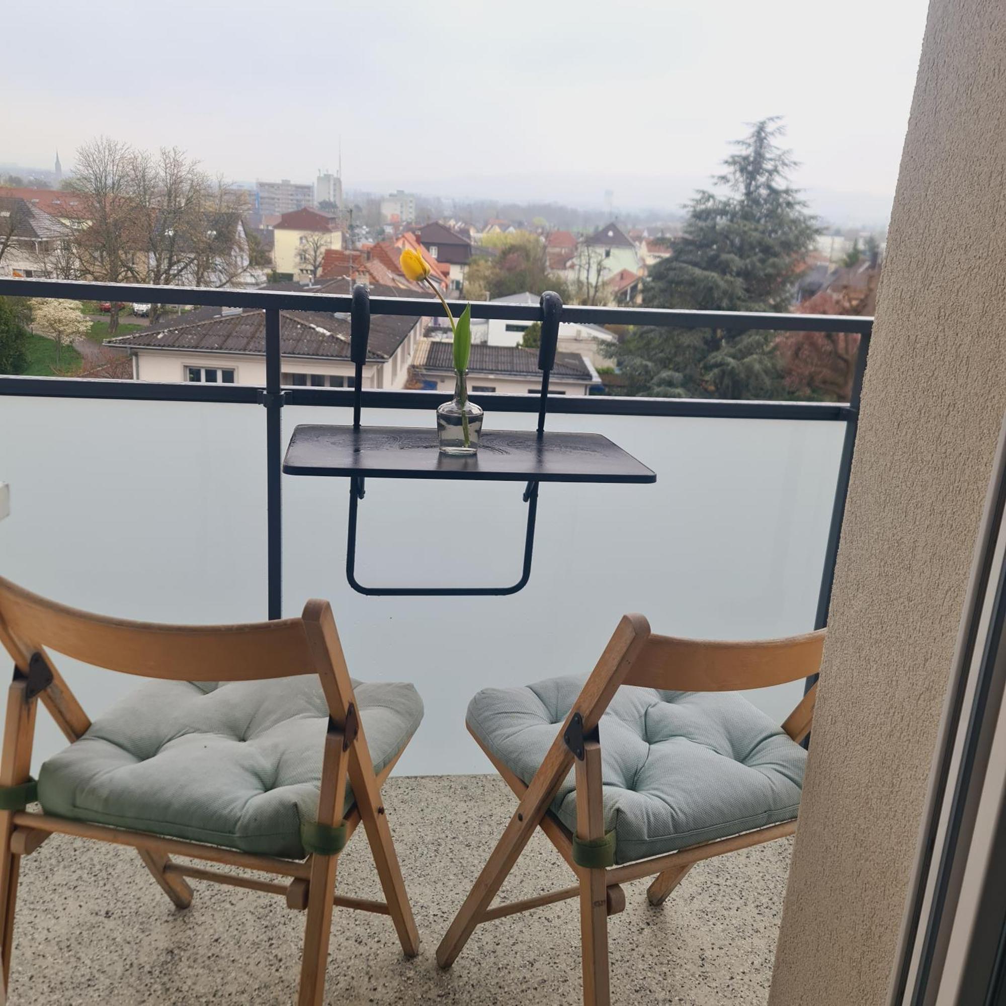 סאן לואיס Studio Kulla Avec Terasse 5Mn Basel Airport מראה חיצוני תמונה